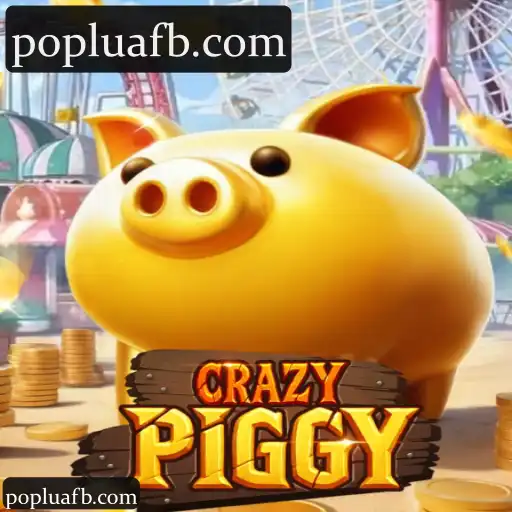CrazyPiggy